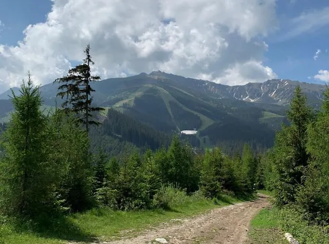 Liptov Maco * Liptovský Mikuláš